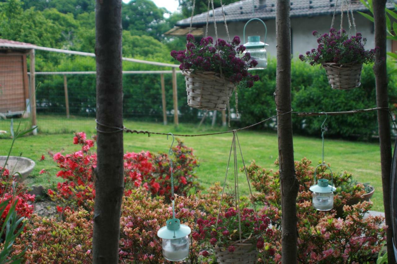 Guest House Al Devesio Rifreddo Luaran gambar